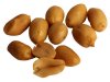 PEANUTS.jpg