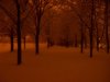 basingstoke3.JPG