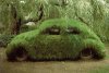 camouflaged.jpg