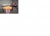 Hotdog.JPG