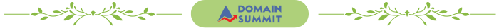 divider-acorn-domainsummit.png