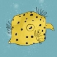 boxfish