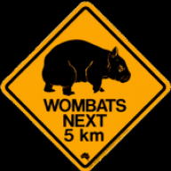 Wombat