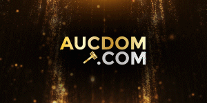AucDom